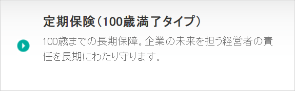 定期保険（100歳満了タイプ）