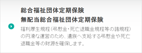 総合福祉団体定期保険 無配当総合福祉団体定期保険