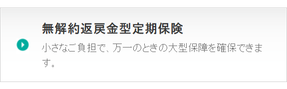 無解約返戻金型定期保険